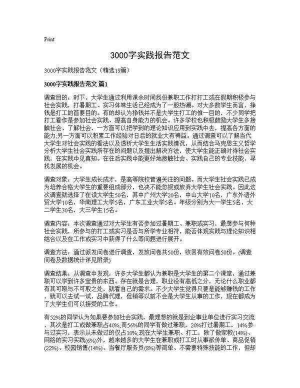 3000字实践报告范文19篇