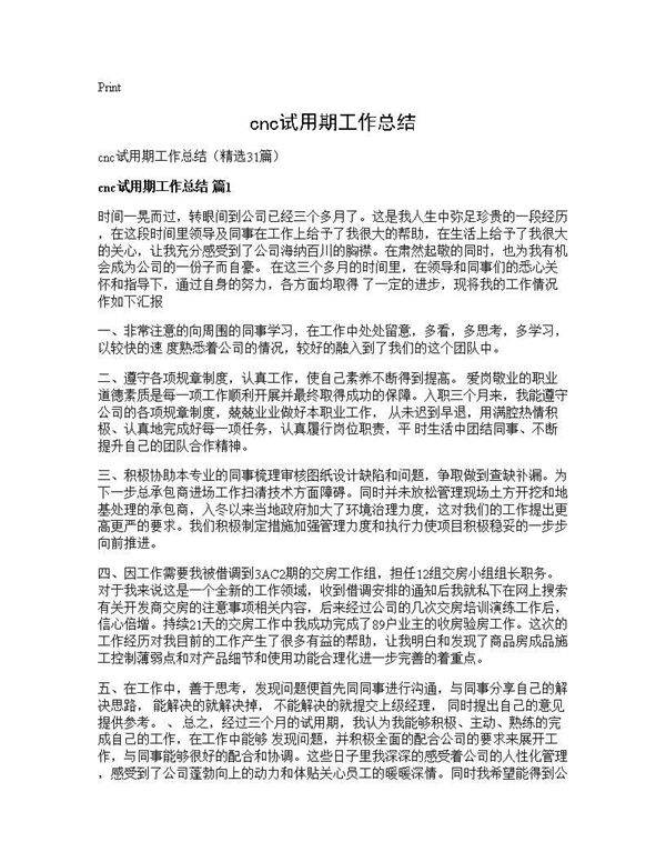 cnc试用期工作总结31篇