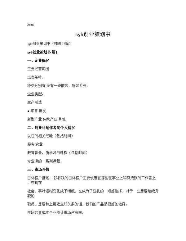 syb创业策划书23篇