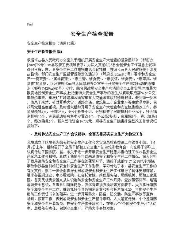 安全生产检查报告30篇