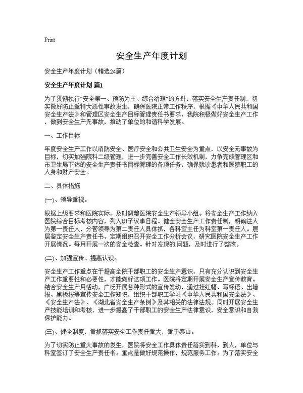 安全生产年度计划24篇