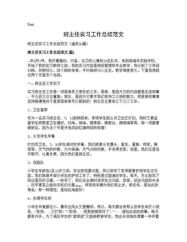 班主任实习工作总结范文30篇