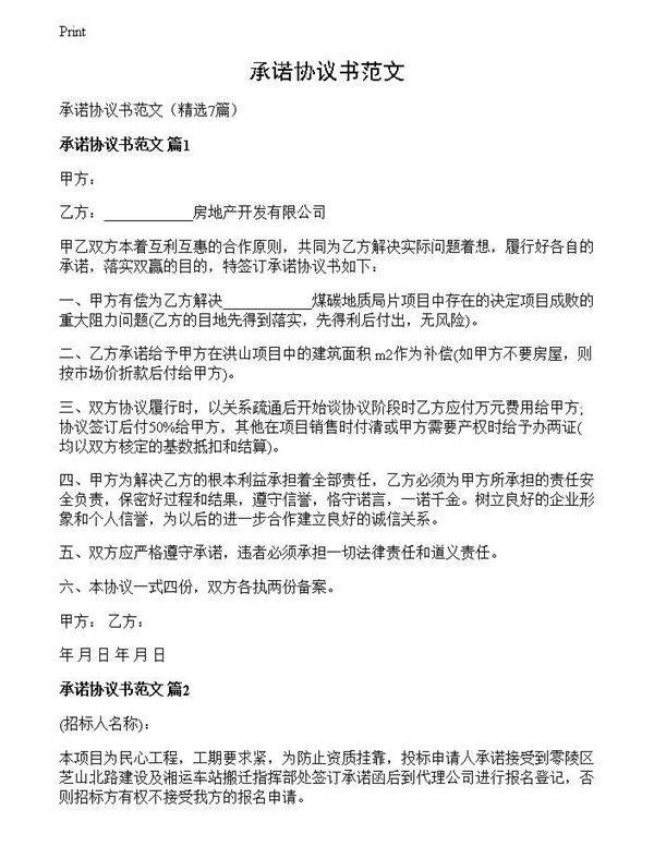 承诺协议书范文