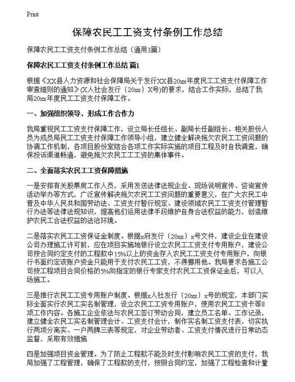 保障农民工工资支付条例工作总结