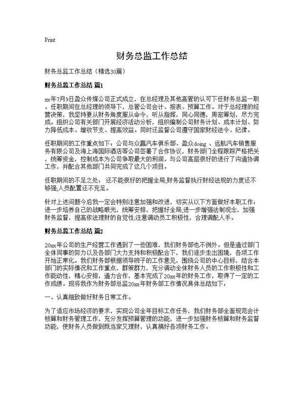 财务总监工作总结30篇