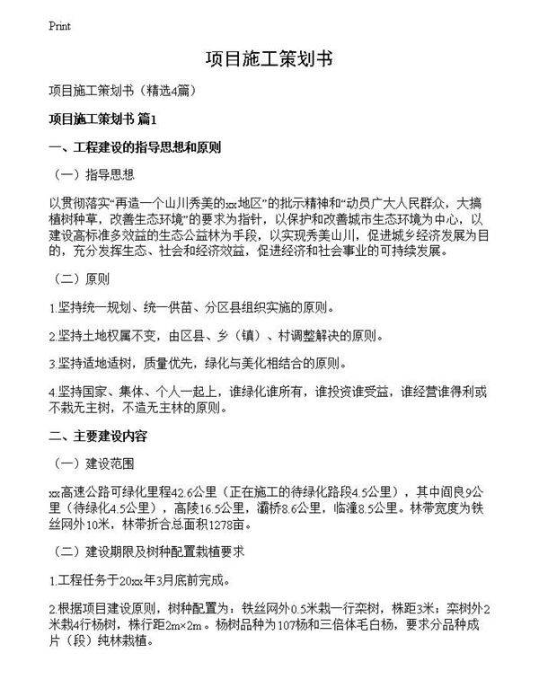 项目施工策划书