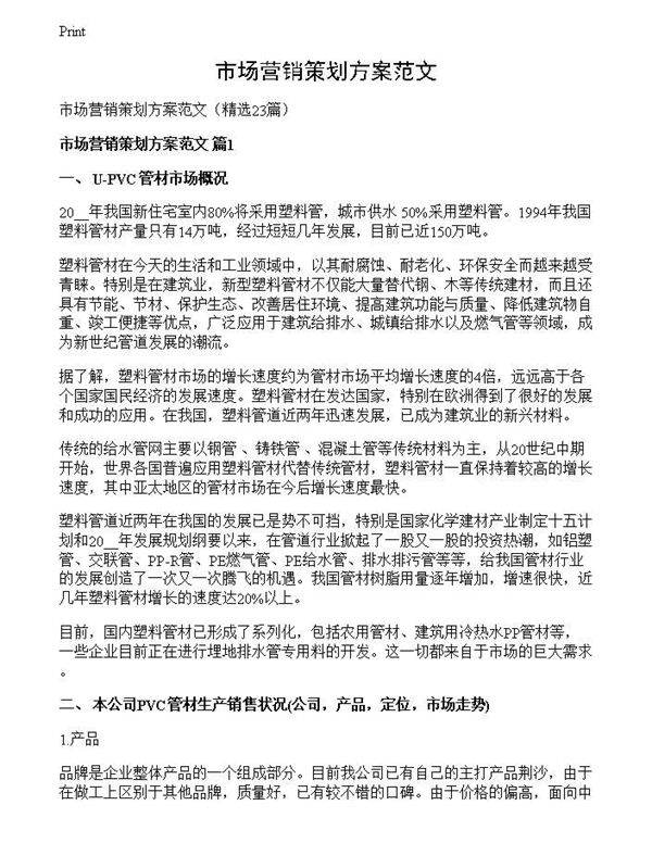 市场营销策划方案范文