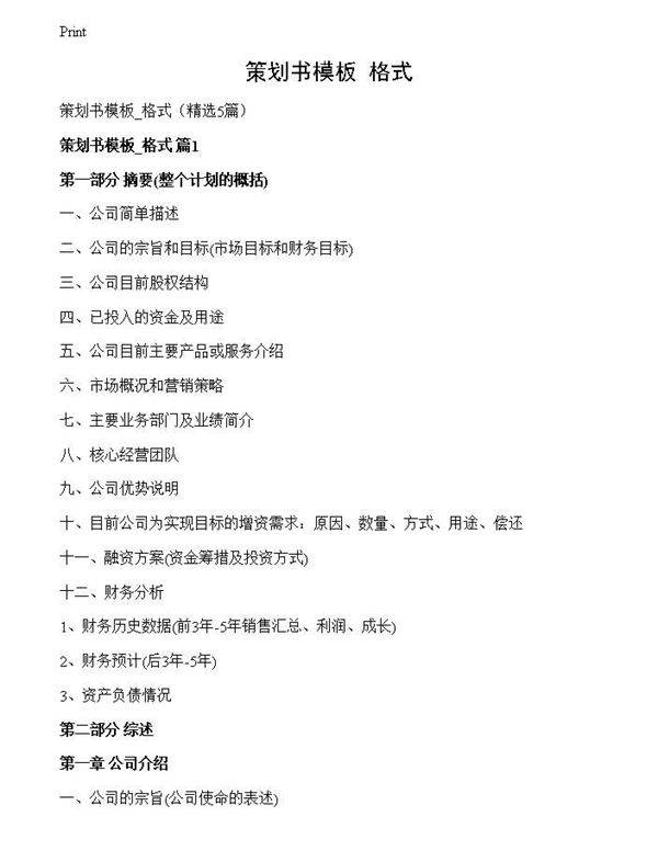 策划书模板 格式