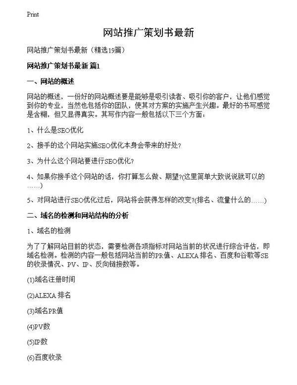 网站推广策划书最新
