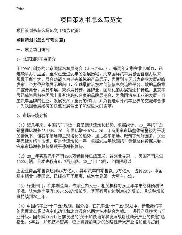 项目策划书怎么写范文