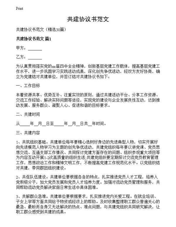 共建协议书范文