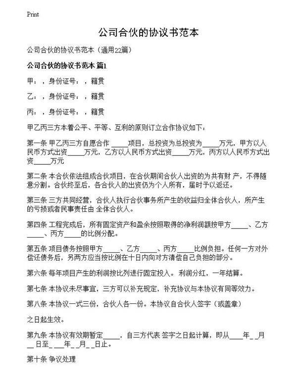 公司合伙的协议书范本