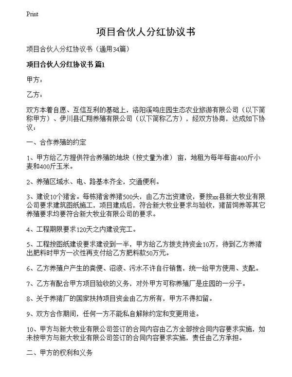 项目合伙人分红协议书