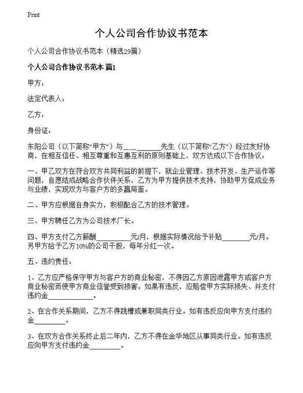 个人公司合作协议书范本