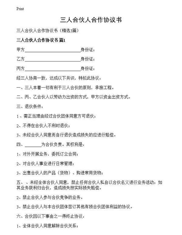 三人合伙人合作协议书