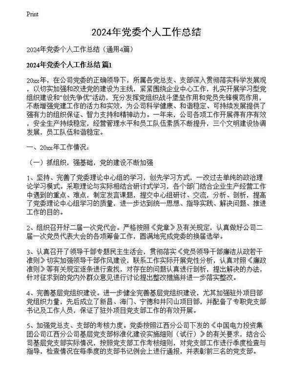 2024年党委个人工作总结