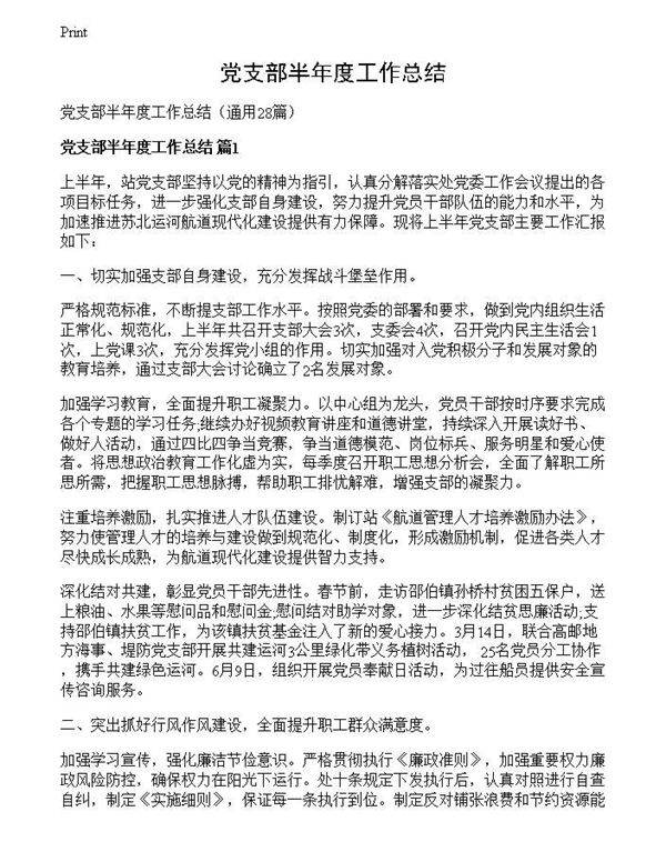 党支部半年度工作总结
