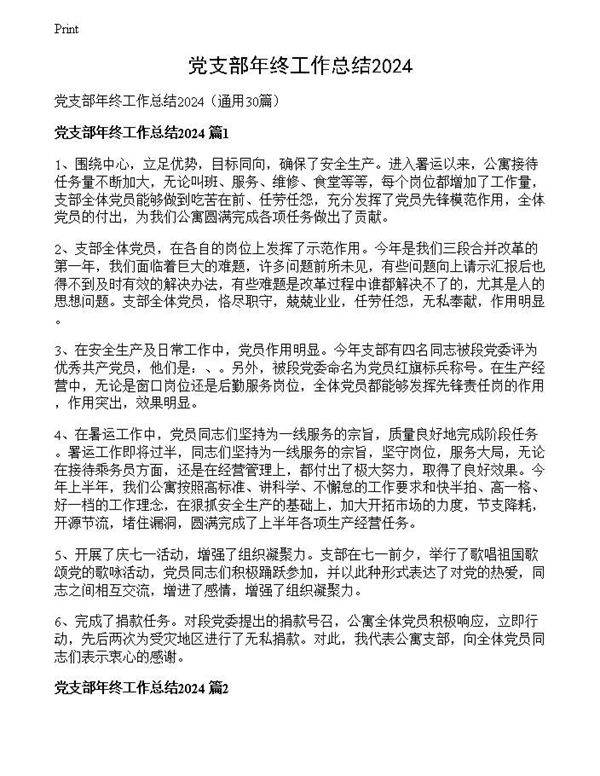 党支部年终工作总结2024