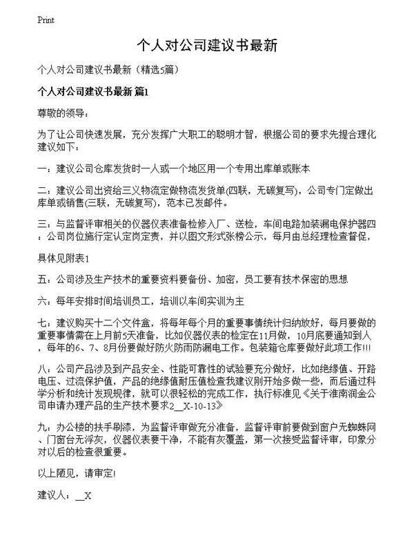 个人对公司建议书最新