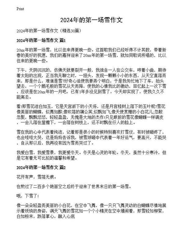 2024年的第一场雪作文