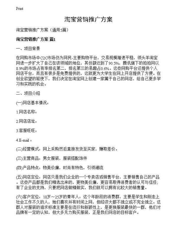 淘宝营销推广方案