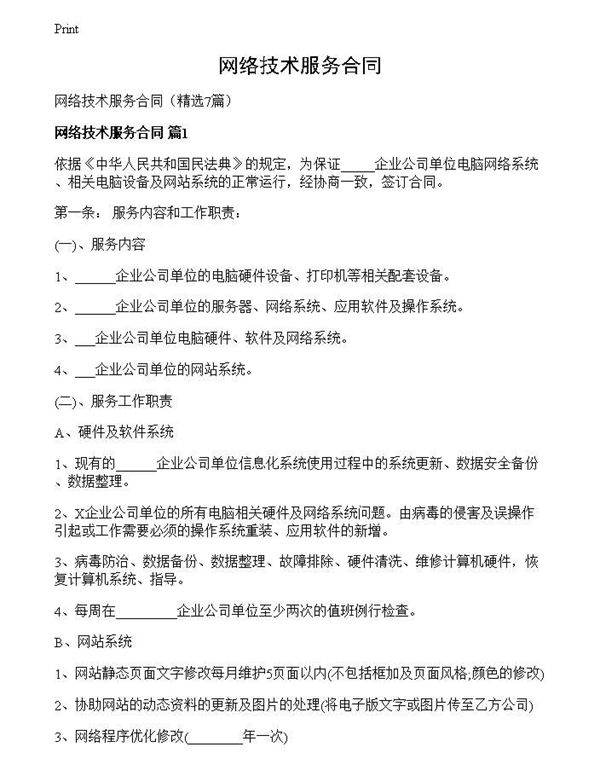 网络技术服务合同