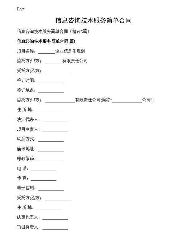 信息咨询技术服务简单合同