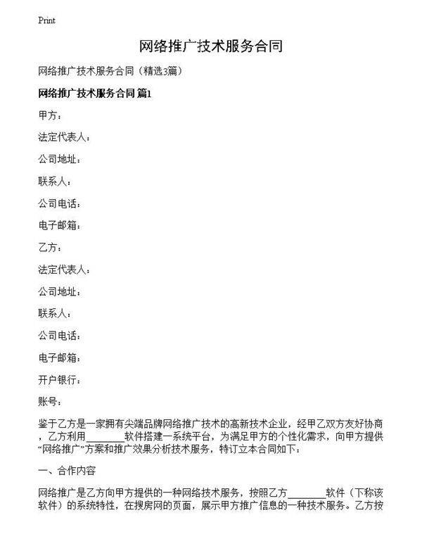 网络推广技术服务合同
