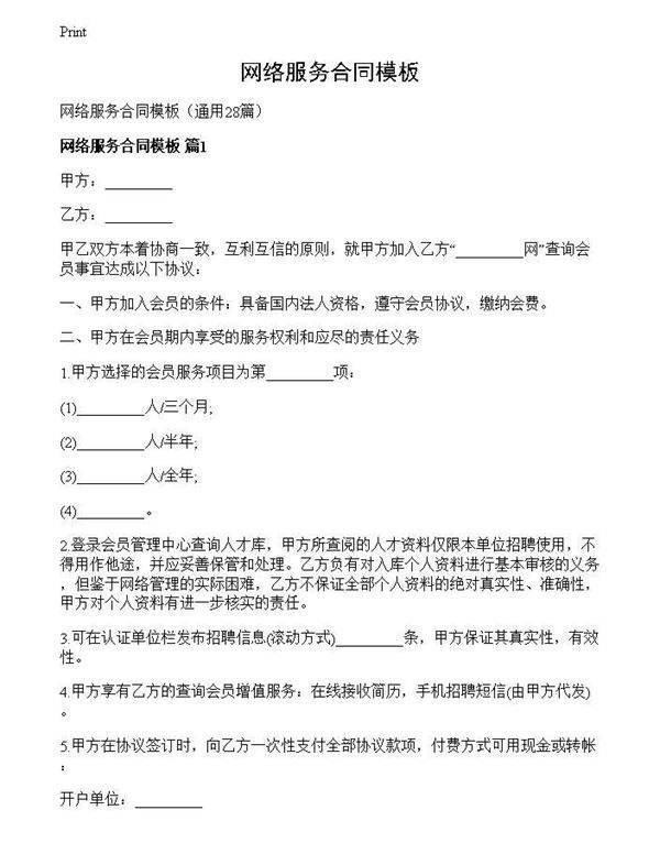 网络服务合同模板