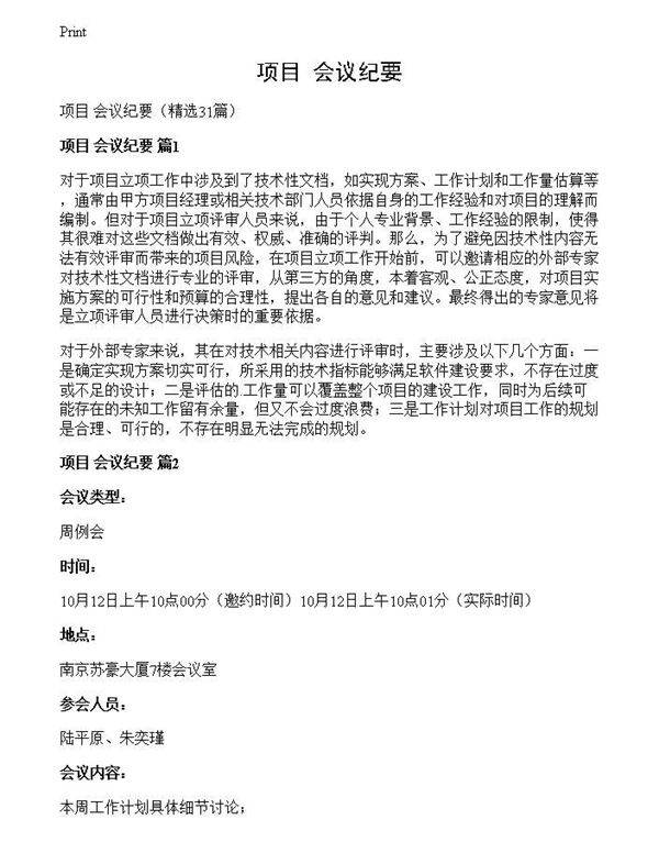 项目 会议纪要