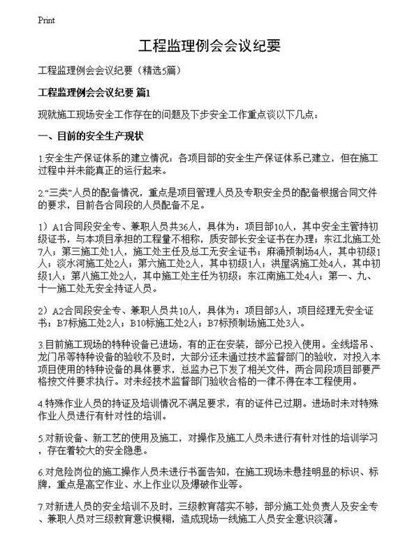 工程监理例会会议纪要