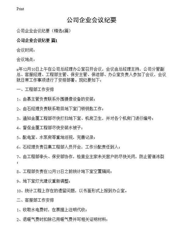 公司企业会议纪要