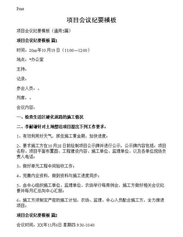 项目会议纪要模板
