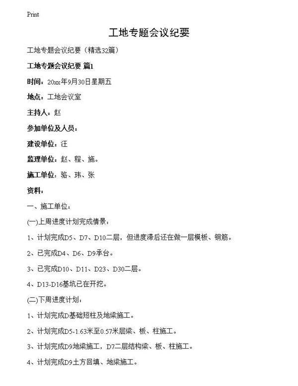 工地专题会议纪要