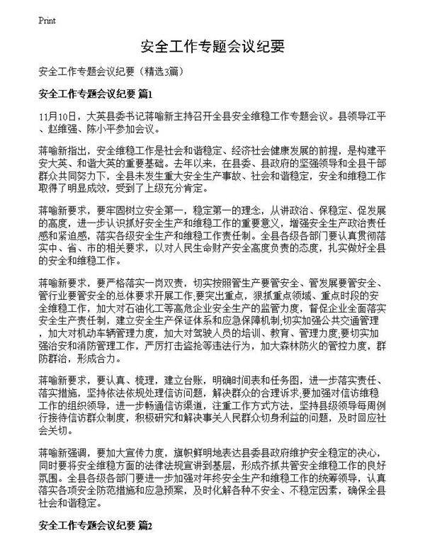 安全工作专题会议纪要