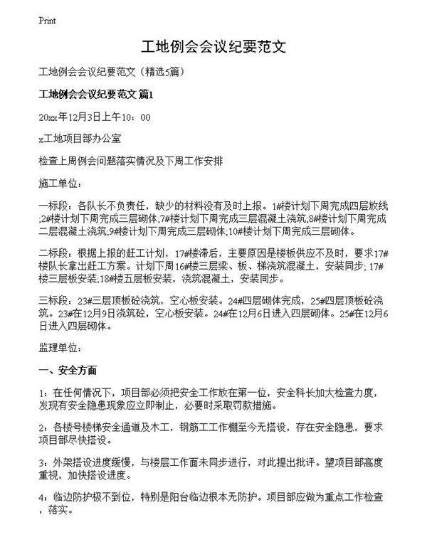 工地例会会议纪要范文