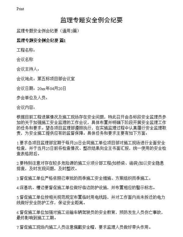 监理专题安全例会纪要