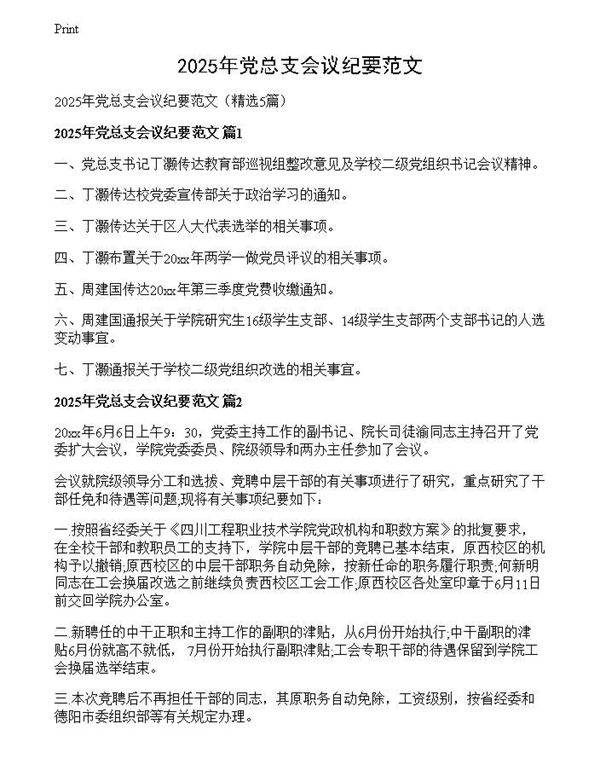 2025年党总支会议纪要范文