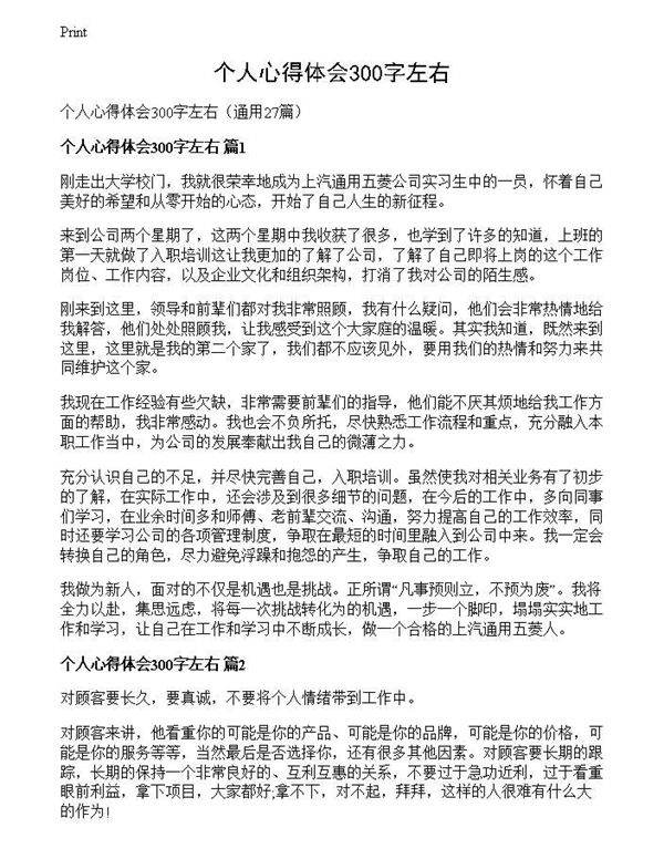 个人心得体会300字左右