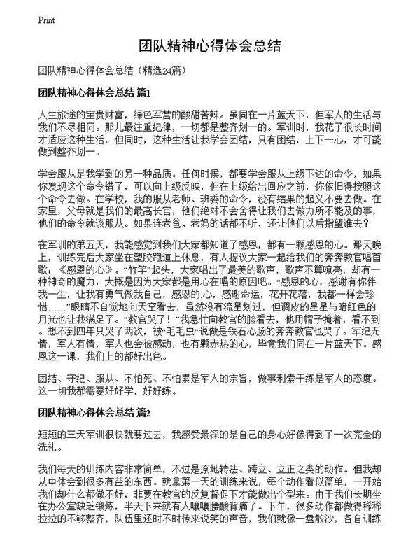 团队精神心得体会总结