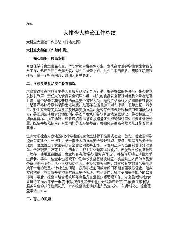 大排查大整治工作总结30篇