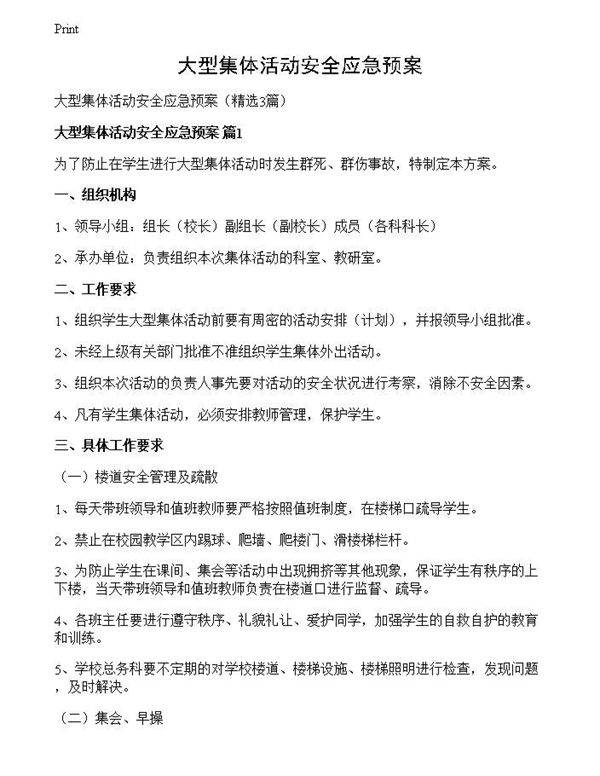 大型集体活动安全应急预案