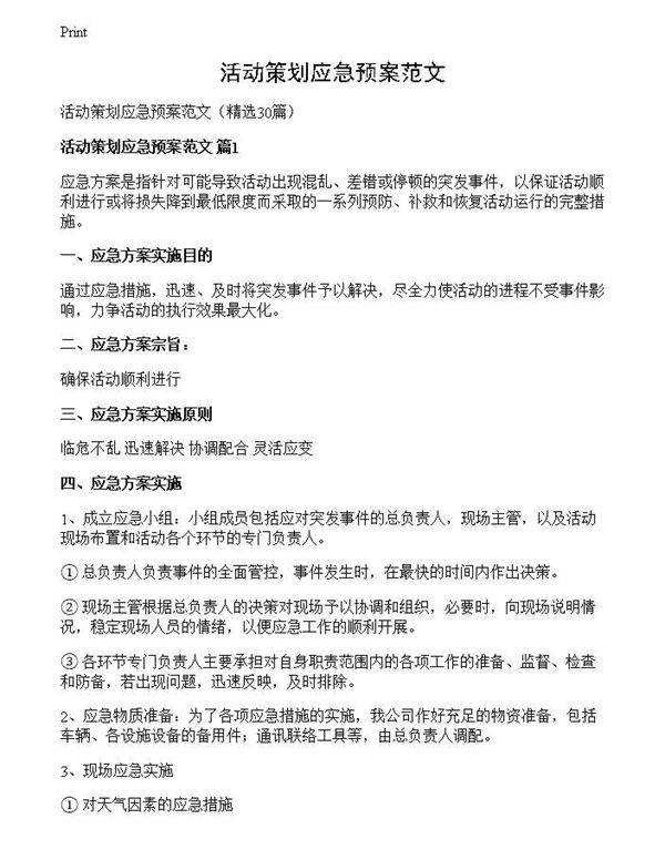 活动策划应急预案范文