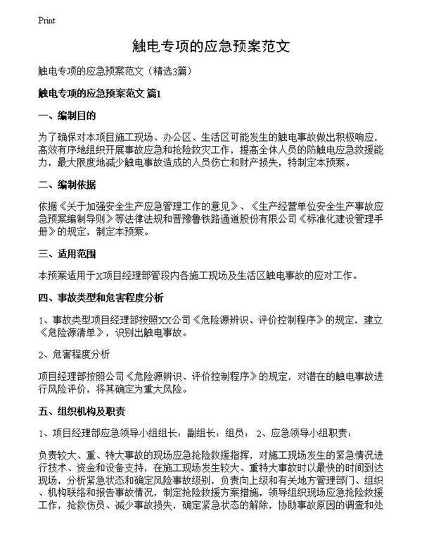 触电专项的应急预案范文