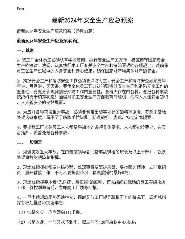 最新2024年安全生产应急预案