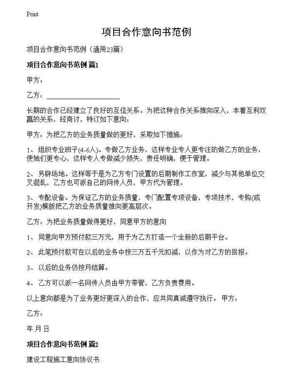 项目合作意向书范例