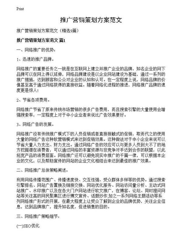 推广营销策划方案范文