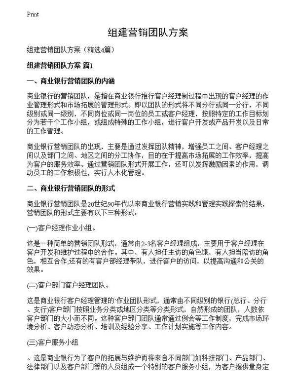 组建营销团队方案