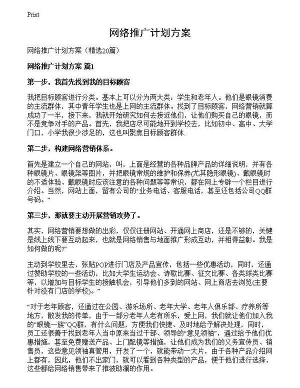 网络推广计划方案