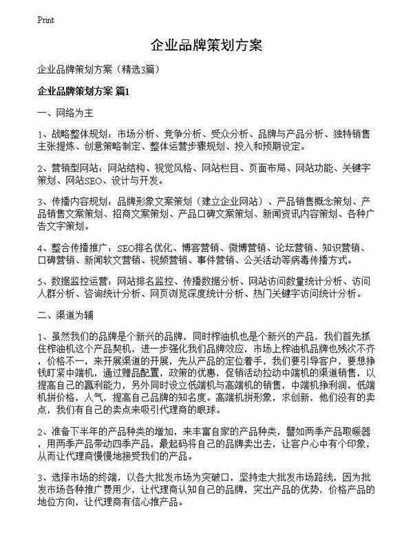 企业品牌策划方案
